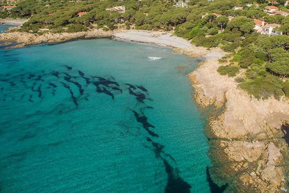 Apartment Ferienwohnung Piedi Nell'Acqua 4 Orosei